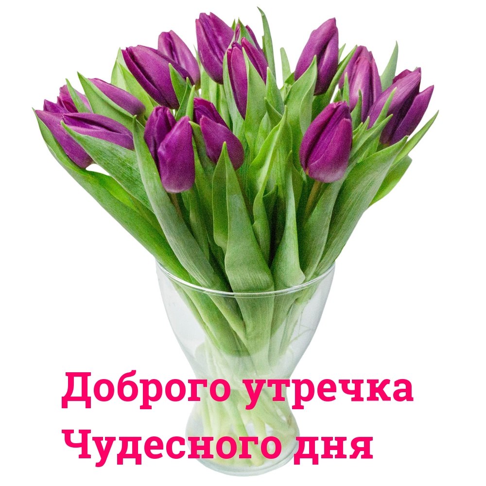   ,    . - 16  2022  00:26 - 3