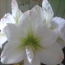 ���� ���� �, �������� - ��������� 7 ���� 2022 � ������ ���� ����������