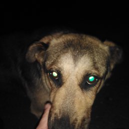 ���� �����., �������������, 42 ���� - ��������� 15 ������ 2023