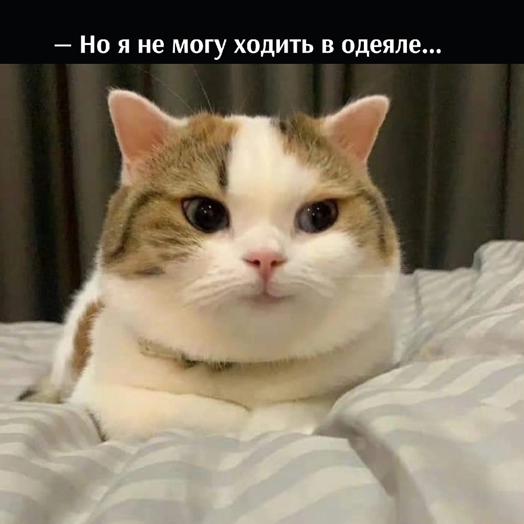       - 16  2022  23:00 - 3