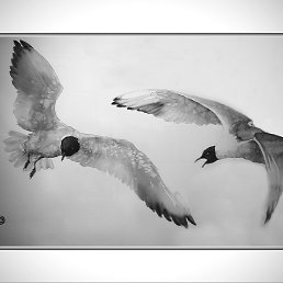 ���� ������, ������, 59 ��� - ��������� 20 ������� 2022