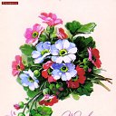 ���� �����, �����-���������, 60 ��� - ��������� 7 ����� 2022 � ������ ������ ��������