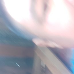 , , 41 