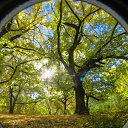 ���� ����������, ������ - ��������� 12 �������� 2022 � ������ ������ ��������