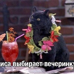 ����, �����-���������, 26 ���