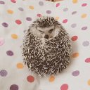 ���� ������, �������� - ��������� 12 �������� 2022 � ������ ���� ����������