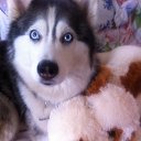 ���� ���������, ������, 50 ��� - ��������� 8 ������� 2022 � ������ ���� ����������