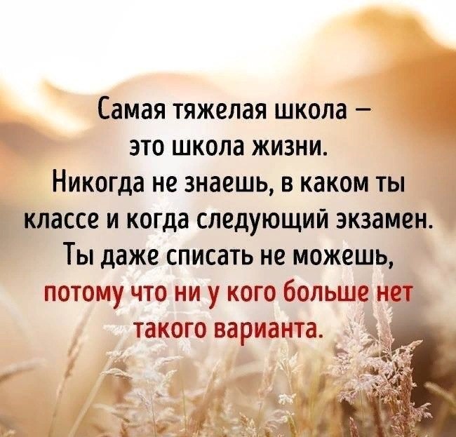    -   - 2