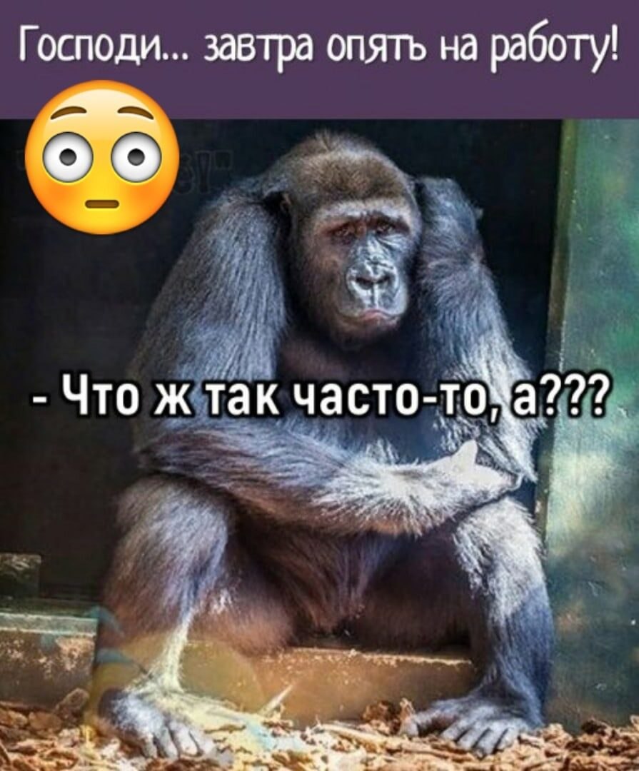    - 23  2022  11:01