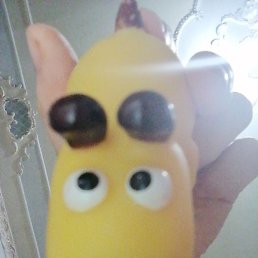 ����, ����������, 21 ���