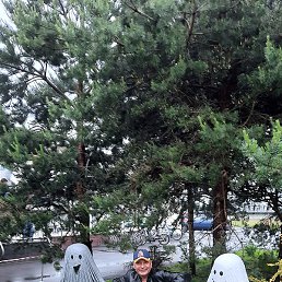 �����, �����������, 59 ���