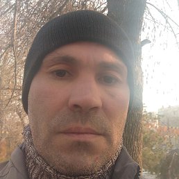 �������, ������, 46 ���