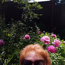 ���� ��������, �����-���������, 55 ��� - ��������� 19 ���� 2022