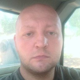 ����, �����-���������, 41 ���