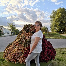 ���� �����, ����, 46 ��� - ��������� 3 ������� 2022