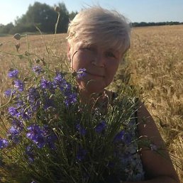 �����, �����������, 58 ���