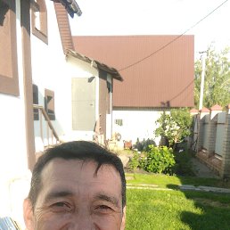 , 52 , 