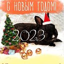 ���� �������, ���������� - ��������� 1 ������ 2023 � ������ ������ ��������