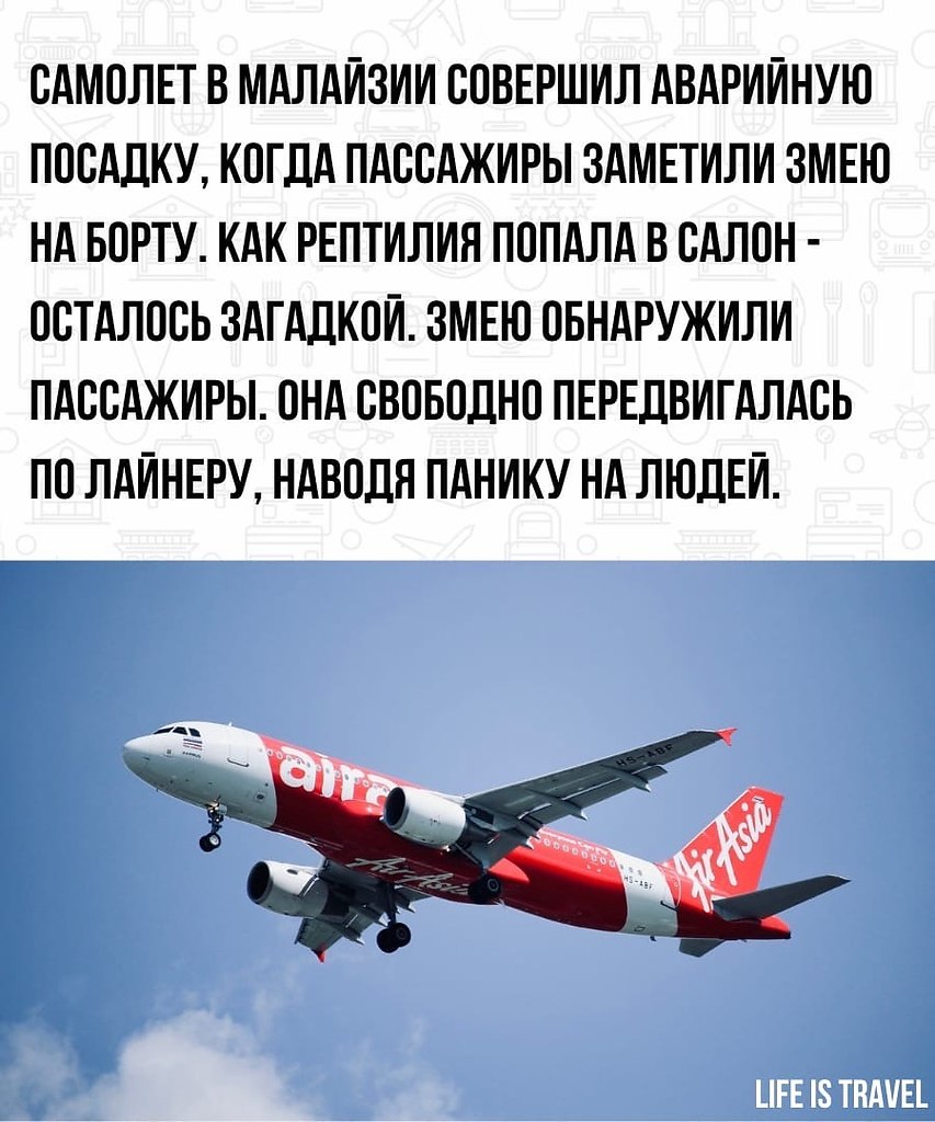 LIFE -  - 8  2022  00:50 - 2