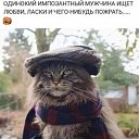 ���� ��������, �����������, 62 ���� - ��������� 15 ������ 2023 � ������ ���� ����������