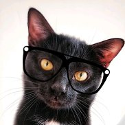 �����, 37 ���, �����-���������