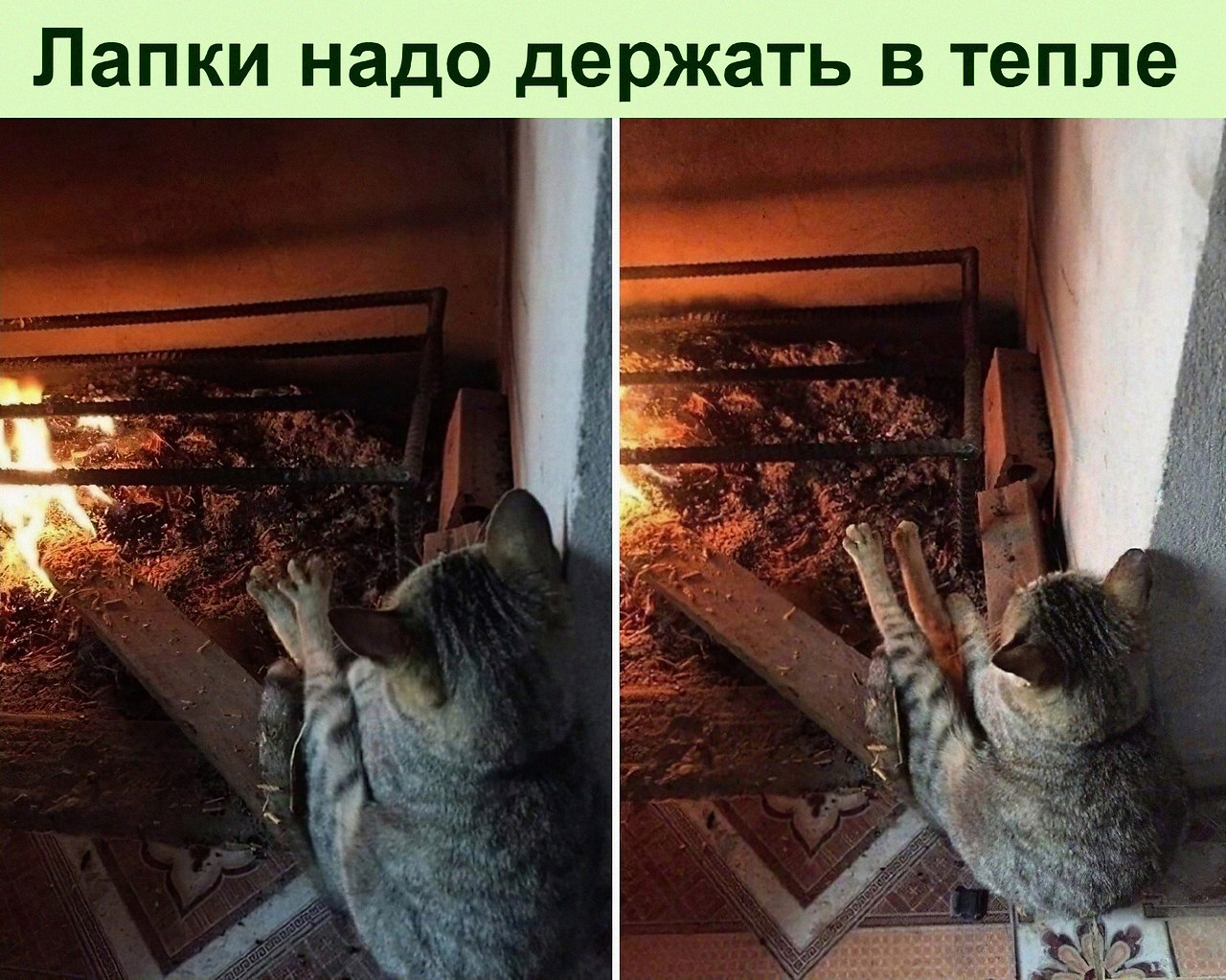    ,   