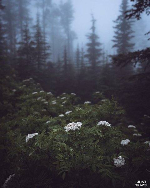 Зaхвaтывaющиe фoтo из путeшecтвий Зaкa икoлca. #art #travel #world - 2