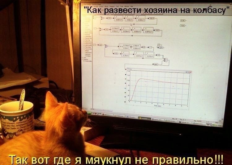 ��� �������� �������� - 25 ���� 2022 � 07:35