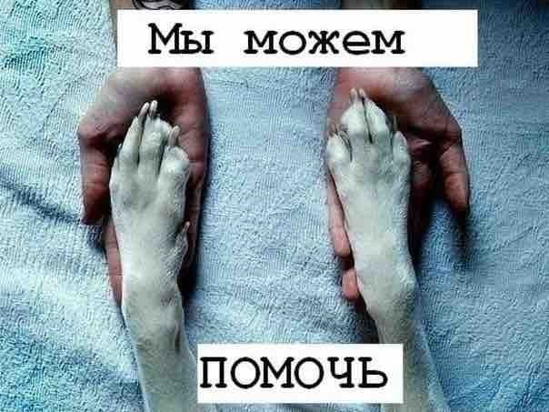 ,  Ҹ !       2,5 !     ... - 2