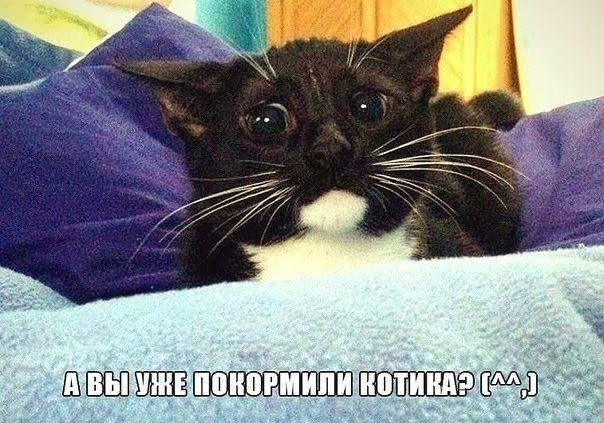    - 4  2022  07:13