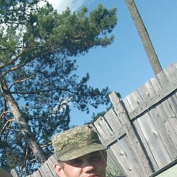 ����, ����������, 44 ����