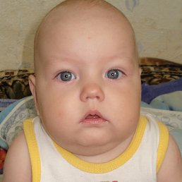 ���������, ��������, 43 ����