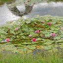 ���� ����, ������, 65 ��� - ��������� 15 ������ 2022