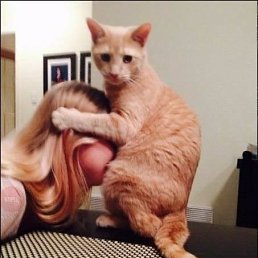 ���� ����, �����, 45 ��� - ��������� 15 ������ 2022