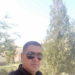 ���, �������, 54 ����