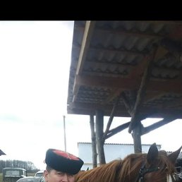 ������, ���������, 50 ���