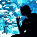 ���� ������, ������, 22 ���� - ��������� 11 ���� 2022