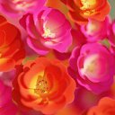 ���� ����, �������, 51 ��� - ��������� 7 ������� 2022