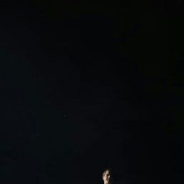 ������, ���������, 25 ���