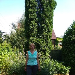 ������� �������, ������, 67 ���