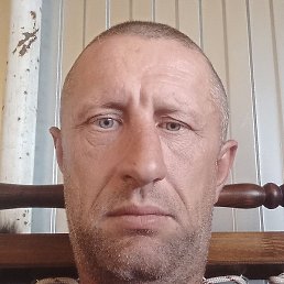 ���������, ���������, 46 ���