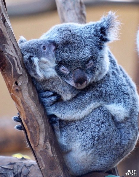 a�� � �� �e��� �� ��pa ���o����. a�ep��c�a� ���o�� � ���o��o� ��pe. #art #travel #world - 6