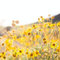 �����, ������������, 45 ���