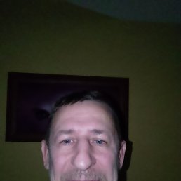 , 53 , 