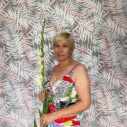 , 51, 
