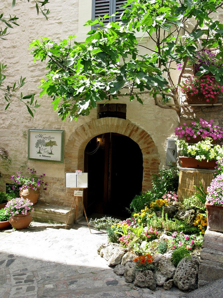   (SPELLO),. -        ... - 7