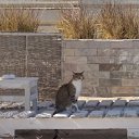 ���� ������, ������ - ��������� 11 ������ 2022 � ������ ���� ����������