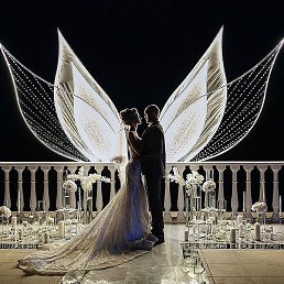 �����, ������ ��������, 51 ���