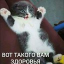  ,  -  21  2022    