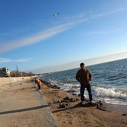 ����, �������, 50 ���